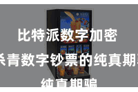 比特派数字加密 杀青数字钞票的纯真期骗