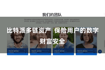 比特派多链资产 保险用户的数字财富安全