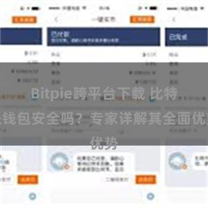 Bitpie跨平台下载 比特派钱包安全吗？专家详解其全面优势