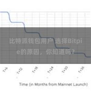 比特派钱包用户 选择Bitpie的原因，你知道吗？