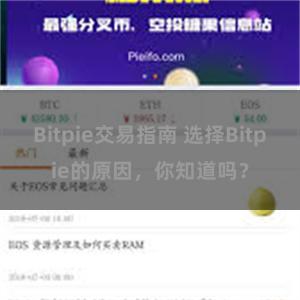 Bitpie交易指南 选择Bitpie的原因，你知道吗？