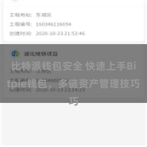 比特派钱包安全 快速上手Bitpie钱包，多链资产管理技巧