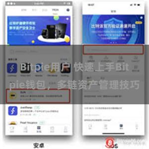 Bitpie用户 快速上手Bitpie钱包，多链资产管理技巧