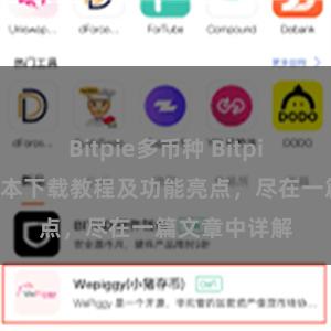 Bitpie多币种 Bitpie钱包最新版本下载教程及功能亮点，尽在一篇文章中详解