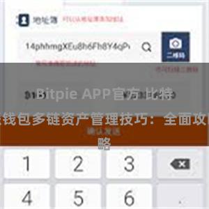 Bitpie APP官方 比特派钱包多链资产管理技巧：全面攻略