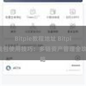 Bitpie教程地址 Bitpie钱包使用技巧：多链资产管理全攻略