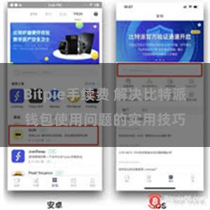 Bitpie手续费 解决比特派钱包使用问题的实用技巧