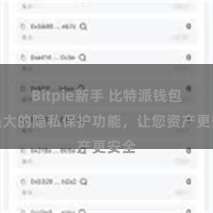 Bitpie新手 比特派钱包：强大的隐私保护功能，让您资产更安全