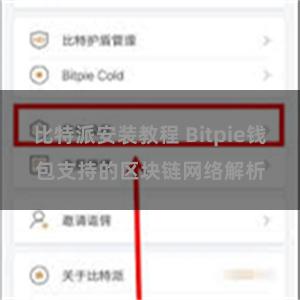 比特派安装教程 Bitpie钱包支持的区块链网络解析