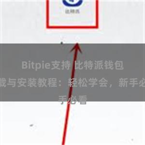 Bitpie支持 比特派钱包下载与安装教程：轻松学会，新手必看