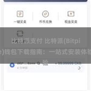 比特派支付 比特派(Bitpie)钱包下载指南：一站式安装体验