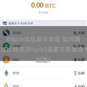 Bitpie钱包新手教程 如何通过比特派(Bitpie)设置交易加速？