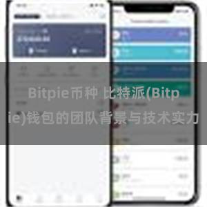 Bitpie币种 比特派(Bitpie)钱包的团队背景与技术实力