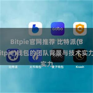 Bitpie官网推荐 比特派(Bitpie)钱包的团队背景与技术实力