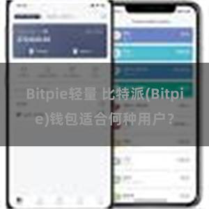 Bitpie轻量 比特派(Bitpie)钱包适合何种用户？