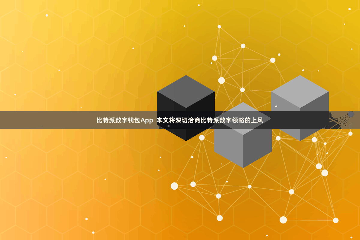 比特派数字钱包App 本文将深切洽商比特派数字领略的上风