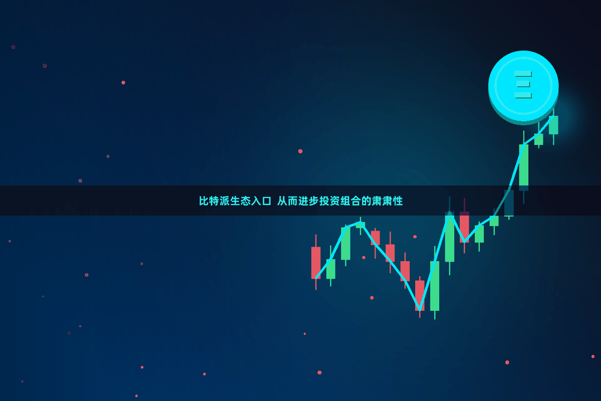 比特派生态入口 从而进步投资组合的肃肃性